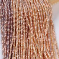 Natural Freshwater Pearl Loose Beads, Flat Round, DIY 3-3.5mm Approx 37 cm [