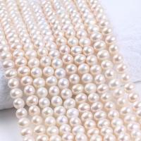 Potato Cultured Freshwater Pearl Beads, DIY, white, 6.5-7mm Approx 36-38 cm 