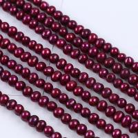 Potato Cultured Freshwater Pearl Beads, DIY, wine red color, 5-6mm Approx 36 cm 