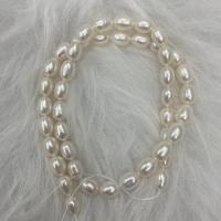 Natural Freshwater Pearl Loose Beads, Rice, DIY, white, 7-8mm Approx 37 cm 