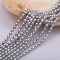 Potato Cultured Freshwater Pearl Beads, Natural & DIY, grey cm 