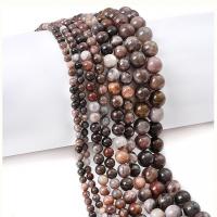 Single Gemstone Beads, Petrified Wood Palm Stone, Round, DIY Approx 1mm Approx 38 cm 