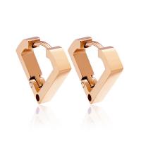 Stainless Steel Leverback Earring, 304 Stainless Steel, fashion jewelry & for woman 