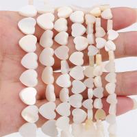 Perles en coquille naturel, coquille d'eau douce, coeur, DIY & normes différentes pour le choix, blanc Environ 1mm Environ 38 cm, Vendu par brin[