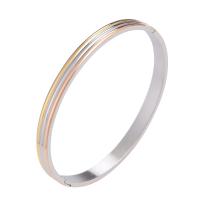Stainless Steel Bangle, 304 Stainless Steel, plated, for woman 