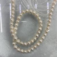 Naturel d'eau douce perles, perle d'eau douce cultivée, Légèrement rond, DIY, blanc, 7-8mm Environ 37 cm, Vendu par brin