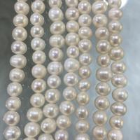 Perle comme Pommes de terre perles d'eau douce, perle d'eau douce cultivée, pomme de terre, DIY, blanc, 7-8mm Environ 37 cm, Vendu par brin