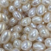 Half Drilled Cultured Freshwater Pearl Beads, Teardrop, DIY & half-drilled, white 