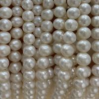 Perle comme Pommes de terre perles d'eau douce, perle d'eau douce cultivée, pomme de terre, DIY, blanc, 7mm Environ 40 cm, Vendu par brin