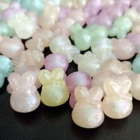 Miracle Acrylic Beads, Rabbit, DIY & luminated, mixed colors Approx 