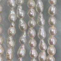 Perla Barroca Freshwater, Perlas cultivadas de agua dulce, Barroco, Bricolaje, Blanco, 5.8~6.5mm, longitud:aproximado 37 cm, Vendido por Sarta[