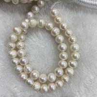 Naturel d'eau douce perles, perle d'eau douce cultivée, Légèrement rond, DIY, blanc, 7-8mm Environ 37 cm, Vendu par brin