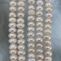 Natürliche Süßwasser, lose Perlen, Natürliche kultivierte Süßwasserperlen, flache Runde, DIY, weiß, 8-9mm, Länge:ca. 37 cm, verkauft von Strang[