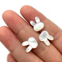 Natural Freshwater Shell Beads, Rabbit, DIY [
