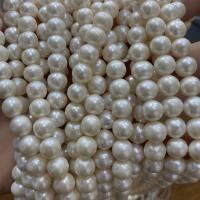 Naturel d'eau douce perles, perle d'eau douce cultivée, Légèrement rond, DIY, blanc, 7-8mm Environ 40 cm, Vendu par brin