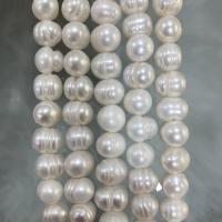 Potato Cultured Freshwater Pearl Beads, DIY, white, 9-10mm Approx 37 cm 
