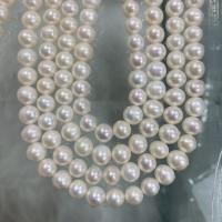 Natürliche Süßwasser, lose Perlen, Natürliche kultivierte Süßwasserperlen, Etwas rund, DIY, weiß, 7-8mm, Länge:ca. 37 cm, verkauft von Strang[