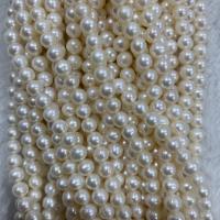 Naturel d'eau douce perles, perle d'eau douce cultivée, Légèrement rond, DIY, blanc, 6mm Environ 37 cm, Vendu par brin