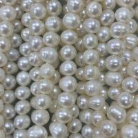 Potato Cultured Freshwater Pearl Beads, DIY, white, 5-6mm Approx 37 cm 