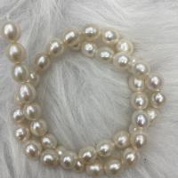 Naturel d'eau douce perles, perle d'eau douce cultivée, Légèrement rond, DIY, blanc, 8-9mm Environ 37 cm, Vendu par brin
