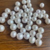 Naturales agua dulce perlas sueltas, Perlas cultivadas de agua dulce, Ligeramente redondo, Bricolaje & diverso tamaño para la opción, Blanco, 50PCs/Bolsa, Vendido por Bolsa[