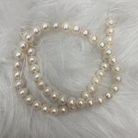 Natural Freshwater Pearl Loose Beads, Slightly Round, DIY, white, 8-9mm Approx 37 cm [
