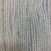 Naturel d'eau douce perles, perle d'eau douce cultivée, Légèrement rond, DIY, blanc, 2-3mm Environ 37 cm, Vendu par brin