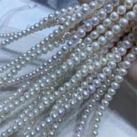 Natürliche Süßwasser, lose Perlen, Natürliche kultivierte Süßwasserperlen, Etwas rund, DIY, weiß, 7-8mm, Länge:ca. 37 cm, verkauft von Strang[