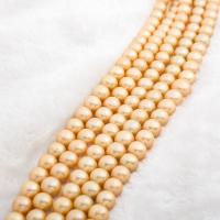 Naturel d'eau douce perles, perle d'eau douce cultivée, Légèrement rond, DIY, doré, 12-13mm Environ 37 cm, Vendu par brin
