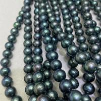 Naturel d'eau douce perles, perle d'eau douce cultivée, Légèrement rond, DIY, noire, 10-11mm Environ 40 cm, Vendu par brin