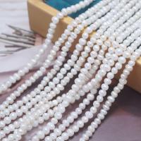 Potato Cultured Freshwater Pearl Beads, DIY, white, 3.5-4mm Approx 0.7mm Approx 39 cm 