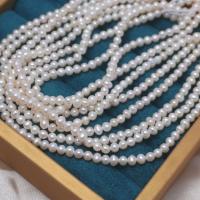 Naturel d'eau douce perles, perle d'eau douce cultivée, Légèrement rond, DIY, blanc, 3.5-4mm Environ 40 cm, Vendu par brin