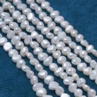 Keshi Cultured Freshwater Pearl Beads, DIY, white, 3-4mm Approx 35 cm 