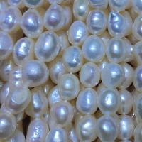 Keshi Cultured Freshwater Pearl Beads, DIY white Approx 36 cm 