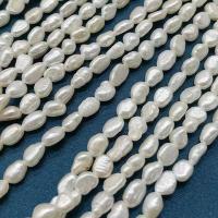Keshi Cultured Freshwater Pearl Beads, DIY, white, 3-4mm, Approx 