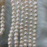 Naturel d'eau douce perles, perle d'eau douce cultivée, Légèrement rond, DIY, blanc, 6-7mm Environ 37 cm, Vendu par brin