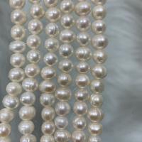 Naturel d'eau douce perles, perle d'eau douce cultivée, Légèrement rond, DIY, blanc, 6-7mm Environ 37 cm, Vendu par brin