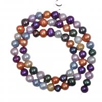 Natural Freshwater Pearl Loose Beads, DIY, multi-colored, 6-7mm cm 