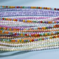 Impression fantaisie perles de coquillage, coquille, Rond, DIY, plus de couleurs à choisir, aboutuff1a3-3.5mm, Environ Vendu par brin[