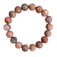 Agate Bracelets, Alexa Agate, folk style & Unisex multi-colored Approx 7-9 Inch 