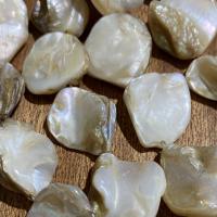 Perles en coquille naturel, coquille d'eau douce, Irrégulière, DIY, 15-20mm Environ 0.7mm Environ 15 pouce, Vendu par brin