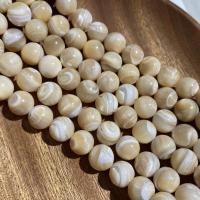 Trochus Beads, Round, DIY Approx 39 cm 