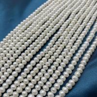 Natural Freshwater Pearl Loose Beads, Flat Round, DIY, white, 4-5mm Approx 37 cm 