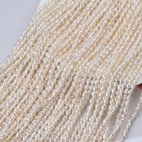 Rice Cultured Freshwater Pearl Beads, DIY white, 2.5-3mm Approx 36 cm 