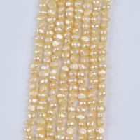 Keshi Cultured Freshwater Pearl Beads, DIY, golden, 5-6mm Approx 36 cm 
