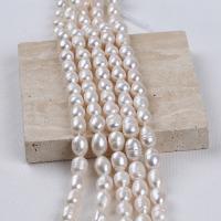 Rice Cultured Freshwater Pearl Beads, DIY, white, 9-10mm Approx 35-40 cm 