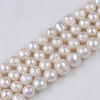 Natural Freshwater Pearl Loose Beads, Slightly Round, DIY, white, 9-10mm Approx 36 cm 