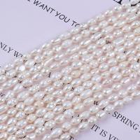 Rice Cultured Freshwater Pearl Beads, DIY, white, 4-4.5mm Approx 36 cm 