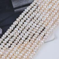 Natural Freshwater Pearl Loose Beads, Flat Round, DIY, white, 5-6mm Approx 36 cm 