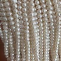 Natural Freshwater Pearl Loose Beads, Slightly Round, DIY, white, 6-7mm Approx 36 cm 